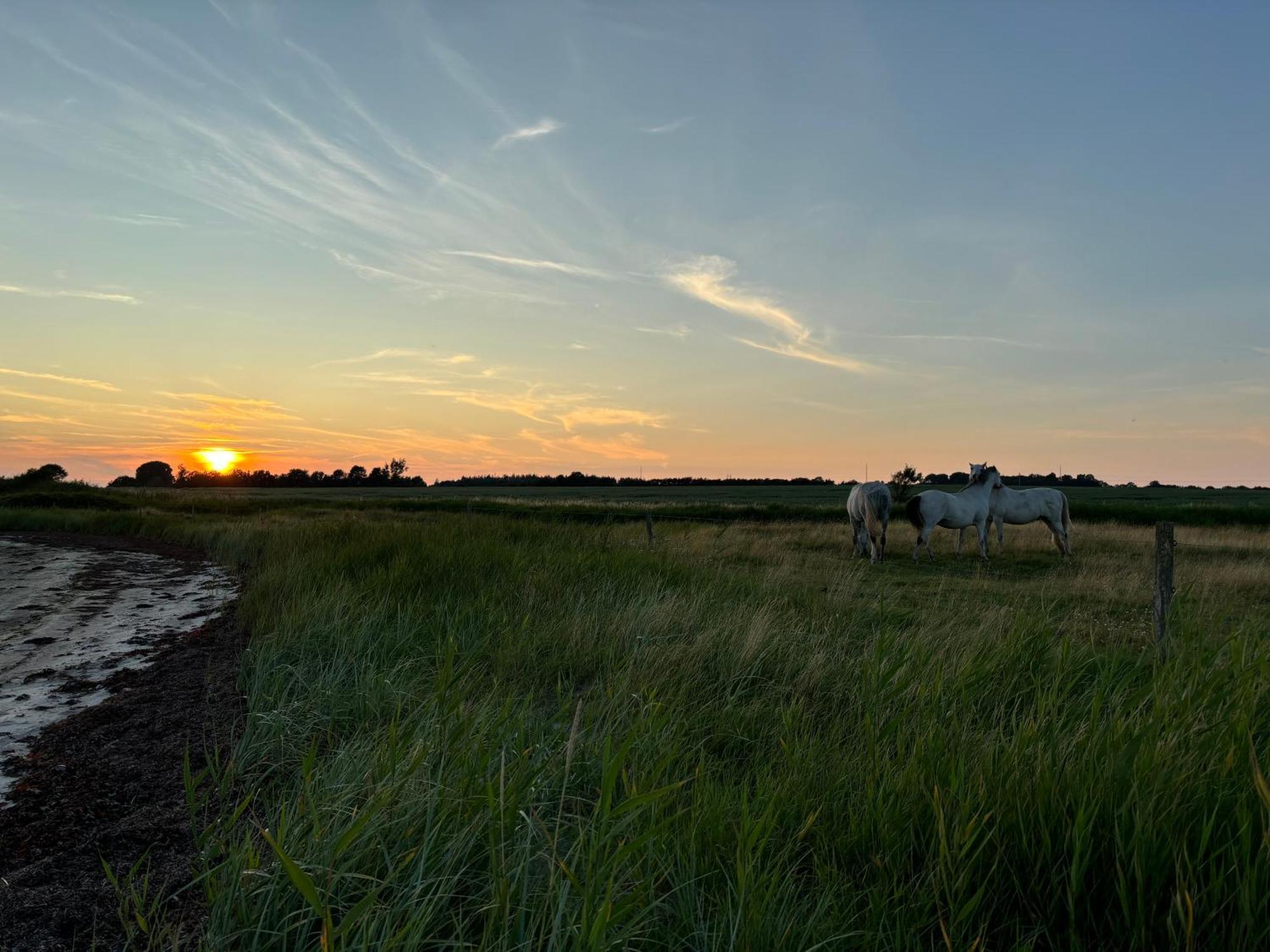 Nedlagt Gard I Naturen Med Ro Og Fred Og Samtidig Taet Pa Strand Og Fiskeri Og Indkobsmuligheder Nordborg Dış mekan fotoğraf